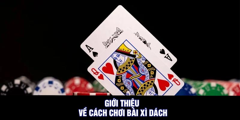 Giới thiệu về cách chơi bài xì dách